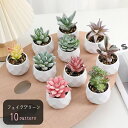送料無料 フェイクグリーン 造花 インテリア雑貨 置物 室内装飾 屋内装飾 多肉植物 小型 小さめ 卓上用 グリーン ピンク イエロー 可愛い キュート おしゃ...