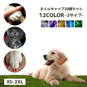 送料無料 ネイルキャップ 20個入り ネイルセット ペット用 ネイル キラキラ ラメ 犬 猫 ネイルケア ソフトネイル ソフトネイルキャップ 爪 爪とぎ けが防止 傷 引っかき 壁 床 保護 ペット用ネイル