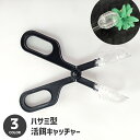 送料無料 活餌キャッチャー ペット用 爬虫類用 ハサミ型 ピンセット 餌やり 餌あげ 生餌 食事 ご飯 エサ フン取り 糞とり 糞処理 虫取り 挟む 便利 昆虫