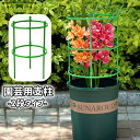 送料無料 園芸用支柱 リング支柱 組み立て式 2段 植木鉢用 花 観葉植物 ガーデニング フラワー 支柱 花支え サポート フレーム 簡単取付 再利用 つる 野...