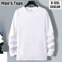 送料無料 長袖Tシャツ 長袖カットソー メンズ 男性 紳士 ロンT ラウンドネック トップス 長袖 大きいサイズ シンプル 無地 単色 カジュアル 重ね着 着回し 普段使い デイリー