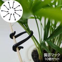 送料無料 園芸フック クリップ 10個セット 園芸用品 ガーデニング 誘引 バンドフック 固定 結束 家庭菜園 支柱用アクセサリー ブラック 黒 シンプル 便利