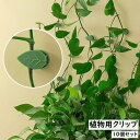 送料無料 植物用クリップ 10個セット 誘引クリップ ガーデニング用品 園芸クリップ 固定クリップ 両面テープ付き 葉っぱモチーフ ツル 伸ばす 観葉植物 庭 ...