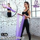 送料無料 エクササイズバンド 1.5m トレーニングチューブ ゴムバンド フィットネス トレーニング ストレッチ 筋トレ 伸ばす ピラティス ヨガ エクササイズグッズ チューブ バンド 運動不足解消 自宅 多用途 多機能 便利