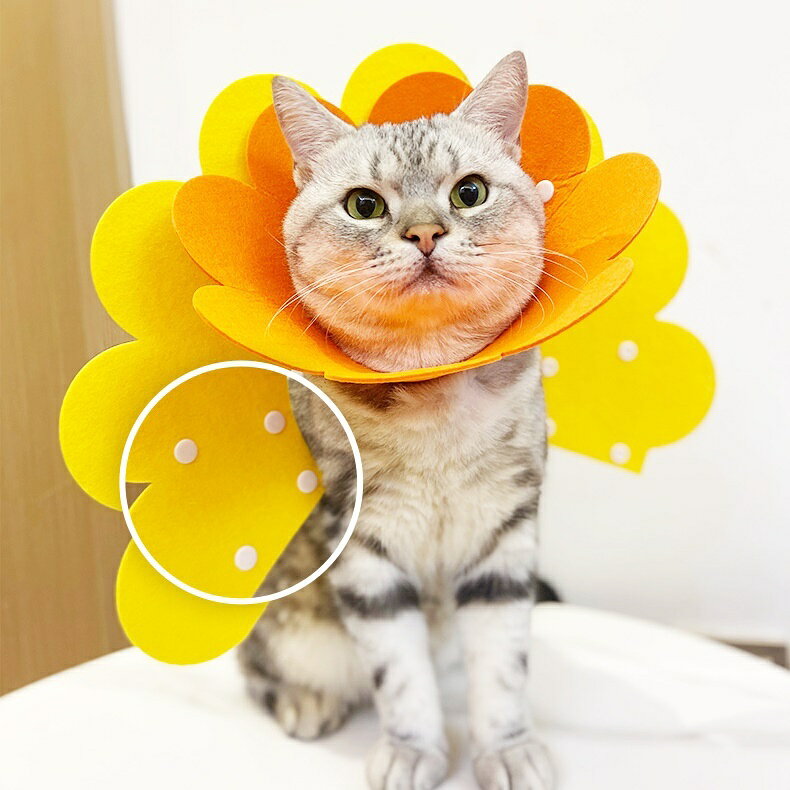 送料無料 エリザベスカラー 犬 イヌ 猫 ネコ 小型犬 中型犬 ペット用品 舐め防止 ...