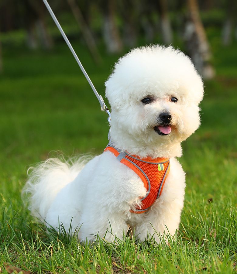 送料無料 ハーネス リード 2点セット 犬用 胴輪 ペット用品 ベスト メッシュ 通気...