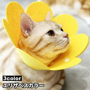 送料無料 エリザベスカラー 猫用 犬用 ペット用品 ネコ イヌ スナップボタン サイズ調節 簡単装着 傷舐め防止 傷口保護 ケア用品 ひっかき防止 フラワー 花 便利 ペットグッズ