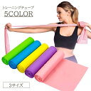 送料無料 トレーニングチューブ エクササイズバンド ゴムバンド ヨガバンド トレーニング フィットネスバンド 筋トレ ヨガ ピラティス 宅トレ 自宅トレ フィットネス ストレッチ