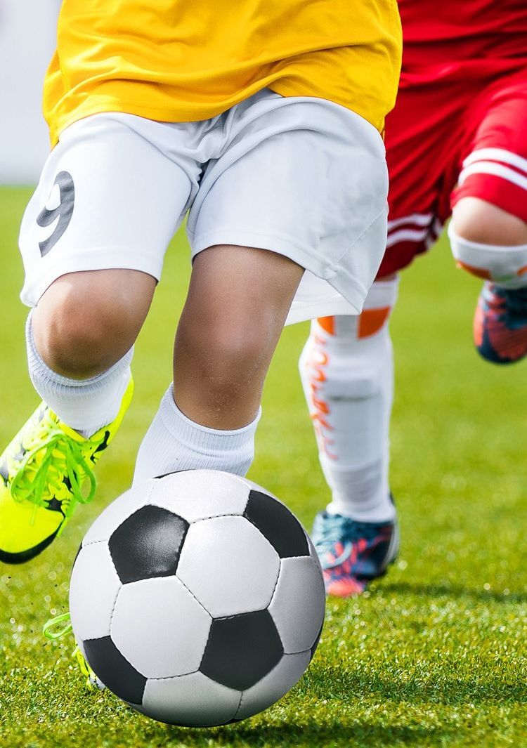 送料無料 カーフソックス サッカーソックス メンズ レディース スポーツ フットサ...