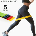 送料無料 エクササイズバンド ゴムバンド トレーニングチューブ ヨガ ストレッチ 筋トレ フィットネス ダイエット 美尻 体幹 太もも 脚
