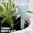 送料無料 給水キャップ 3個セット 観葉植物 自動 水やり 散水 灌漑 ペットボトル ノズル ガーデニング 園芸 盆栽 野菜 プランター 留守 旅行 便利