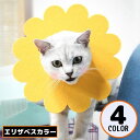 送料無料 エリザベスカラー 猫 犬 ペット用品 術後ウェア フェルト製 軽量 傷口保護 怪我 引っ掻き 傷舐め防止 花 フラワー かわいい