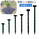 送料無料 除草シート固定ピン 100本セット 防草シート用 PP杭 プラスチック 固定用 抜けにくい 押さえピン ガーデニング 家庭菜園 畑 農作業 農業用具 ...