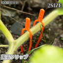 送料無料 園芸クリップ 100個セット フォーク 植物 茎 蔓 つる 固定 誘引 留める 地面 土 ガーデニング用品 農業 苺 イチゴ スイカ サツマイモ 簡単...