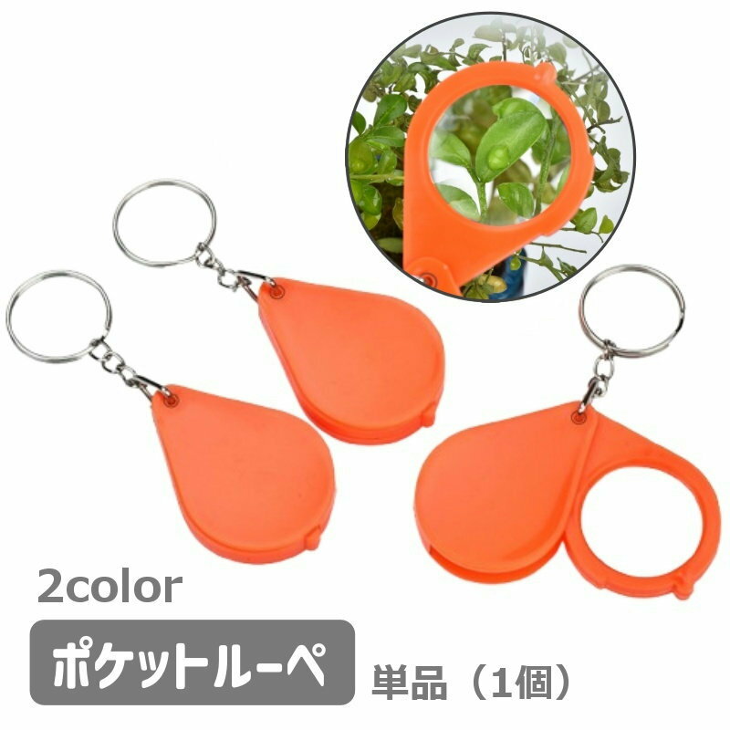 送料無料 ポケットルーペ 虫メガネ 虫眼鏡 拡大鏡 ミニルーペ 携帯 持ち運び コンパクト 小型 折りたたみ キーホルダー 便利 旅行 趣味