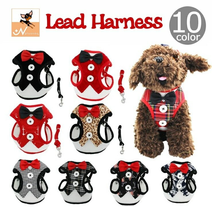 ̵ ϡͥ ꡼ 2å  ڥåȥå ƹ ɳ ɳ ʿɳ å Ļʻ ĳͥ å ̵ ʥ ĹĴ...