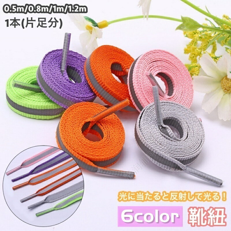 motto-motto㤨̵ ɳ Ҥ ñ 1 ­ʬ ȿ  塼졼 ʿҥ ˡ ư ǥ å  8mm 50cm 80cm 100cm 120cm 塼꡼ ĤҤ   Ҷ  եåʪפβǤʤ150ߤˤʤޤ