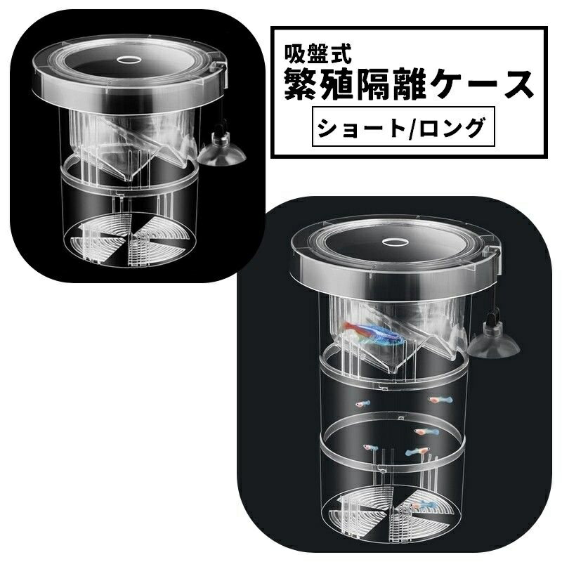送料無料 繁殖隔離ケース 産卵ケース 隔離ケース 吸盤式 2層 繁殖隔離ボックス 水槽用 外置き用 飼育ボ..