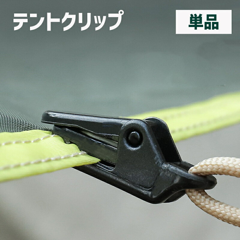 motto-motto㤨̵ ƥȥå ץå ñ  ȥɥ ѥå ƥȸ  ˸  к ѥ  פβǤʤ110ߤˤʤޤ