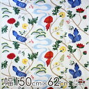 ★ポイント最大10倍! 16日1:59迄★ボラスコットン boras cotton 生地 幅約150cm×約1リピート/約62cm BIRDLAND(バードラン...