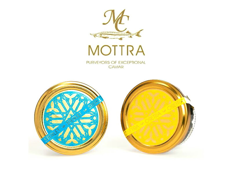 ڵ²ӥۡMOTTRA SPECIAL SET()ۥХå󥬥¸ãեȥ饹ѥå/ȥ100g 1ĥեå奭ӥ ȥӥ MOTTRAȥ̵