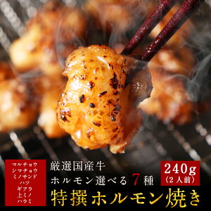 7種から選べる厳選国産牛特撰ホルモン焼き（240g/約2人前） バーベキュー（BBQ）焼肉 ホルモン 牛ホルモン 焼肉セット 小腸 丸腸 お取り寄せグルメ テレビ ご飯のお供 肉 高級 食品ロス マルチョウ シマチョウ ミノサンド ハツ ギアラ 上ミノ ハラミ