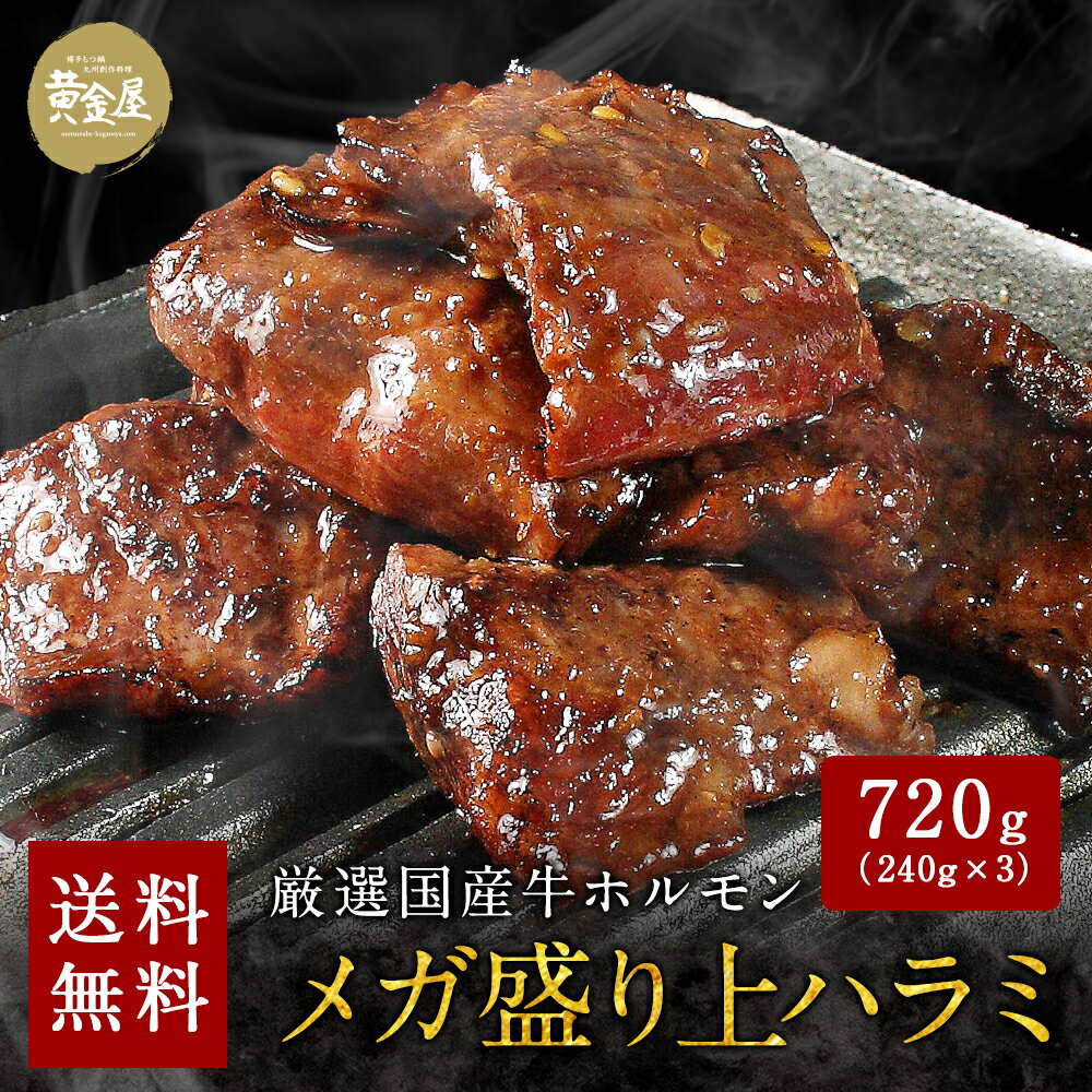 【送料無料】黄金屋国産牛ホルモン焼き大変希少な上ハラミ720g 5～6人前| 牛ホルモン お取り寄せグルメ..