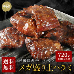 【送料無料】黄金屋国産牛ホルモン焼き大変希少な上ハラミ720g 5～6人前| 牛ホルモン お取り寄せグルメ 焼肉 ホルモン焼き 焼き肉 牛もつ バーベキュー お肉 酒の肴 国産 ご飯のお供 おつまみ もつ焼き ビール BBQ 酒のつまみ