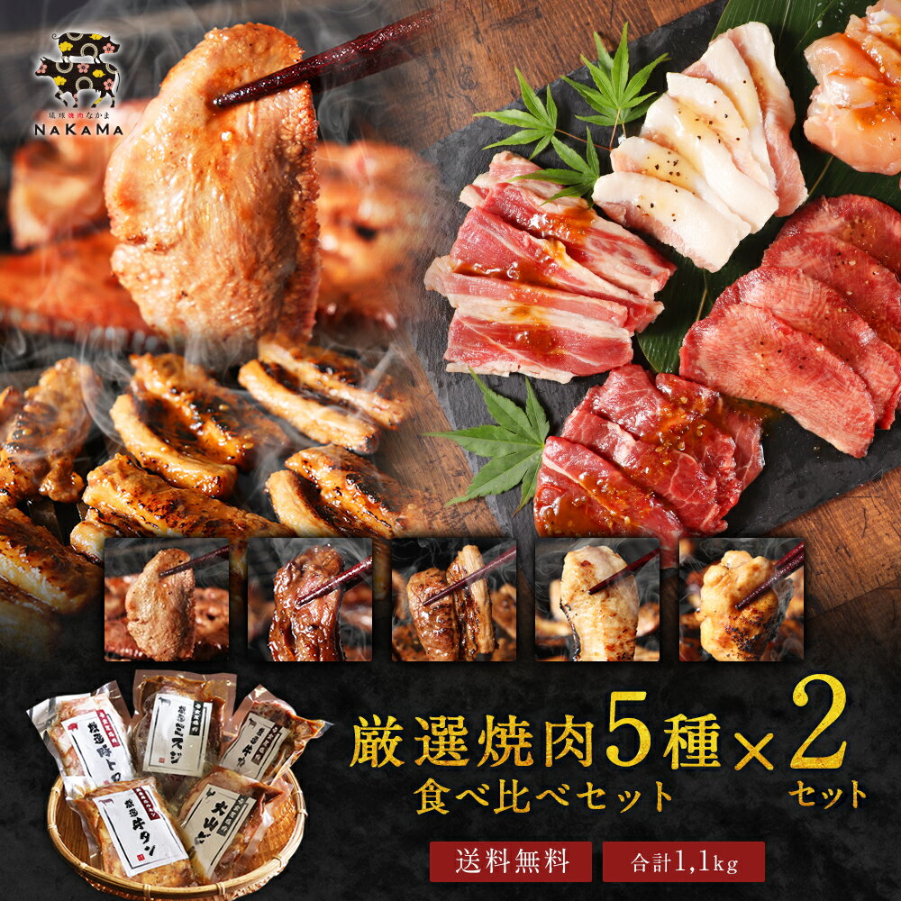 父の日 「厳選焼肉5種食べ比べセット×2セットまとめ買い」（各110g×5種×2セット分 合計1.1kg） お肉 肉 送料無料 詰め合わせ 焼肉ギフト 牛タン ミスジ カルビ 豚トロ 大山どり お取り寄せグルメ ビール 食品 高級 食べ物 ビール