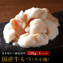 厳選国産牛小腸（牛もつ）100g もつ鍋 セット用 モツ鍋 博多もつ鍋 牛モツ鍋 もつ鍋セット 牛もつ 鍋セット