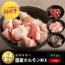 牛ホルモンMIX100g もつ鍋のトッピングに追加のホルモンはいかがですか?手間ひまをかけた手切りカットの新鮮ホルモンです【楽ギフ_包装】【楽ギフ_のし】【楽ギ...