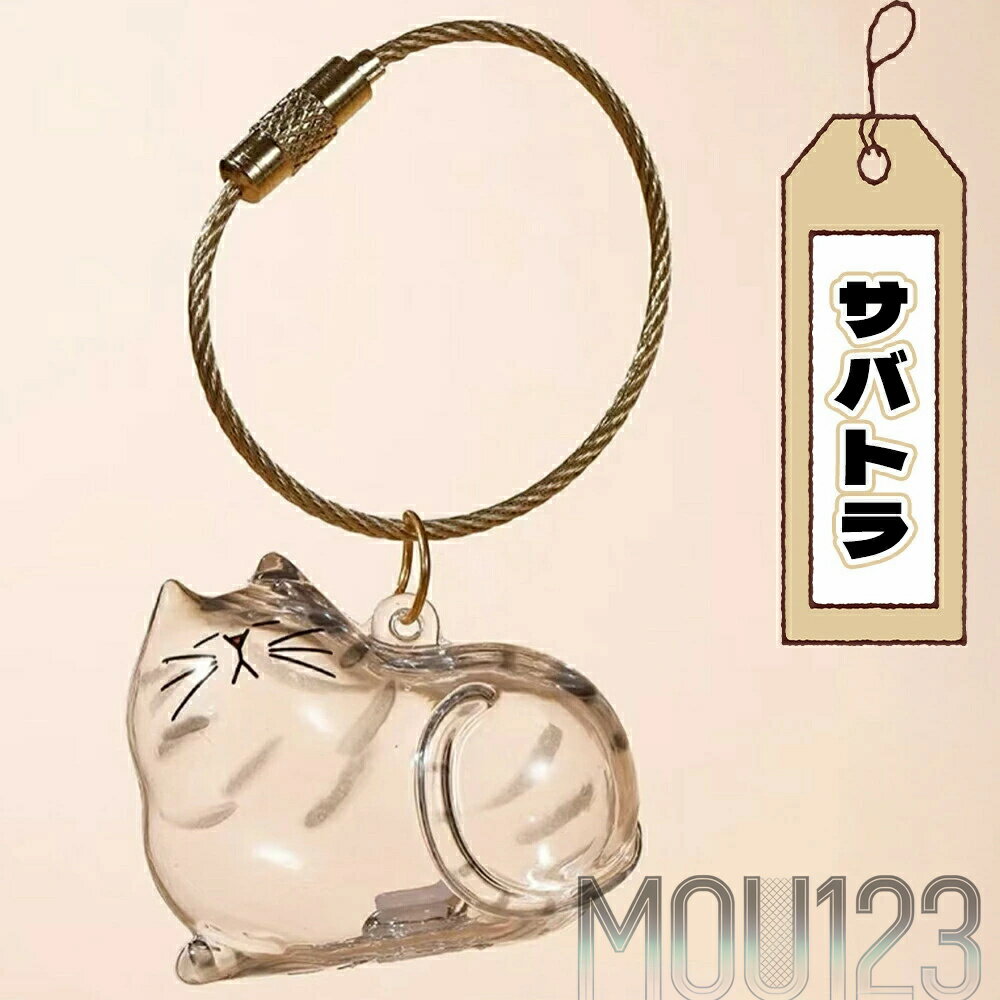 ��6�ĥ��åȡ�ǭ���ӥ����� ǭ�Ӷ����� ǭ���ӥ����ۥ���� Ʃ���ܥȥ� ���ץ��� ǭ�� ��Ǽ �ܥå��� �����ۥ�����դ� ���ꥢ�륰�å� ���� �������� ���襤����������� ���������ꡡ�ڥå����ʡ���Ǽ���å�������̵��