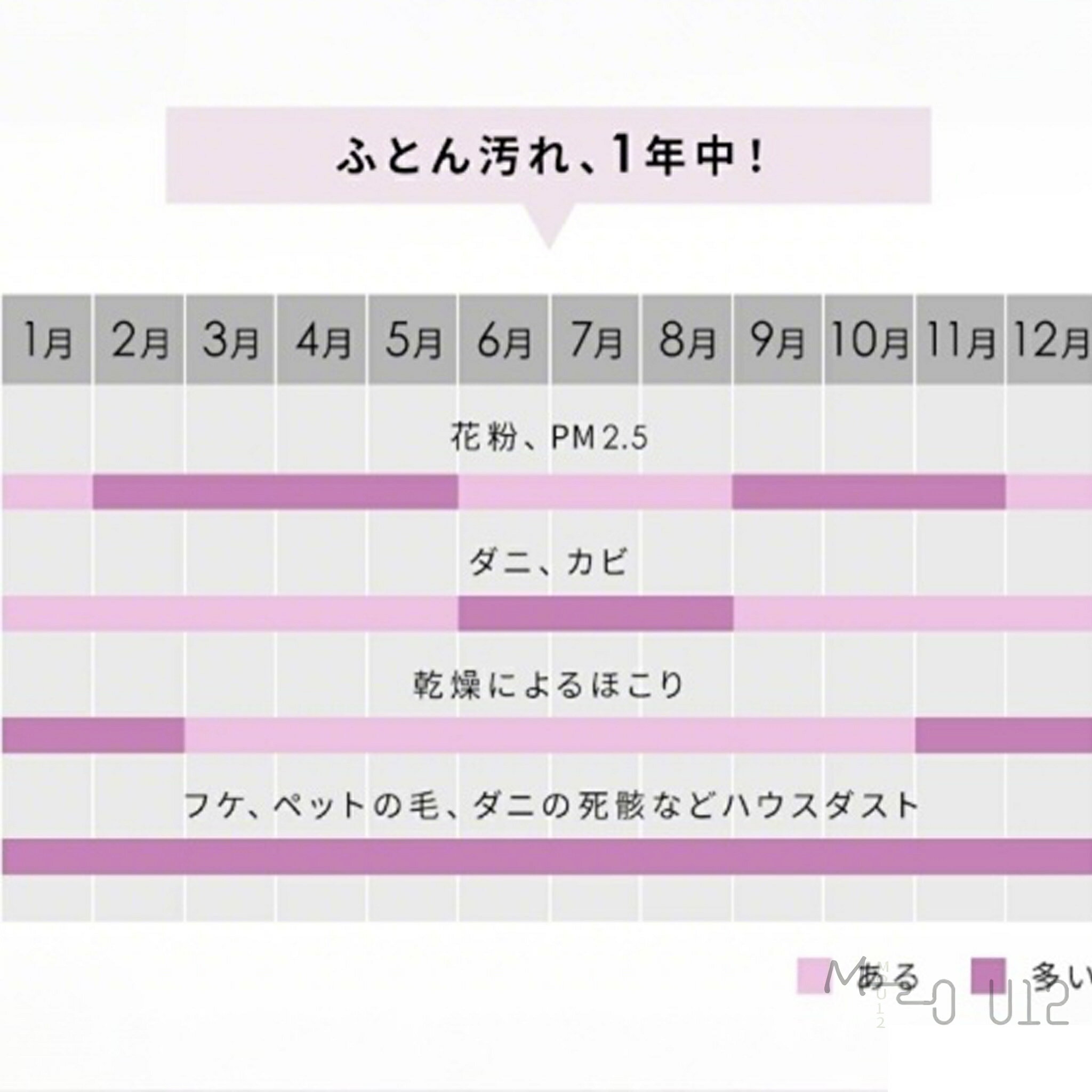 ★P10倍★ 夏ギフト・お中元★ 布団クリーナー 15KPa吸引力 布団掃除機 UV ランプ除菌...