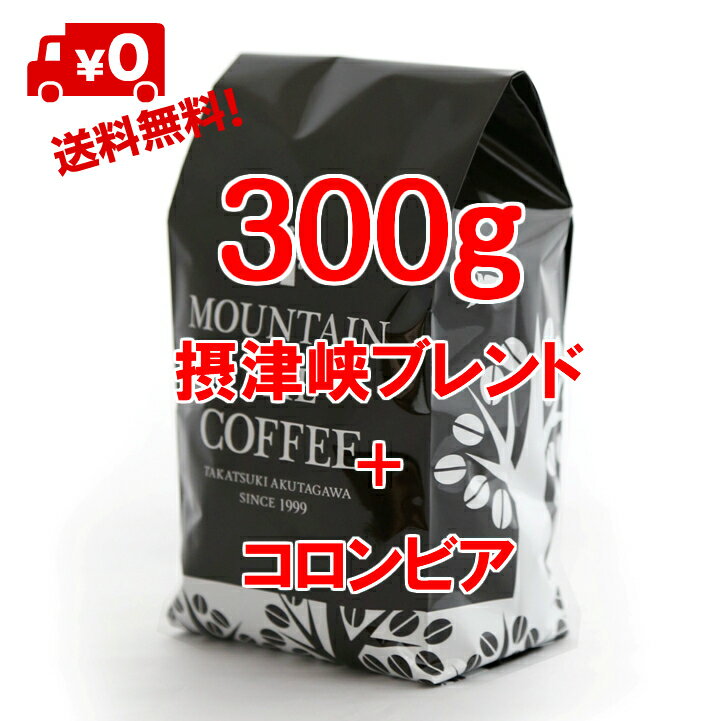 コーヒー豆 自家焙煎コーヒーマウンテン 摂津峡ブレンド150g＋コロンビア・ラスヌベス150g 渓谷でのキャンプで飲みたくなるおおらかな味のブレンド+スムースなおいしさ 2種類のすてきなコーヒーが楽しめます 2