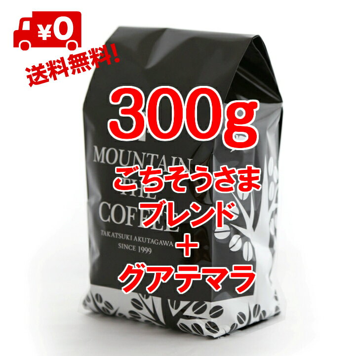 コーヒー豆 自家焙煎コーヒーマウンテン ごちそうさまブレンド150g＋グアテマラ アルト・デ・メディナ農園150g 20年間支持されるロングセラーのブレンド+ウェルバランス 2種類のすてきなコーヒーが楽しめます 2