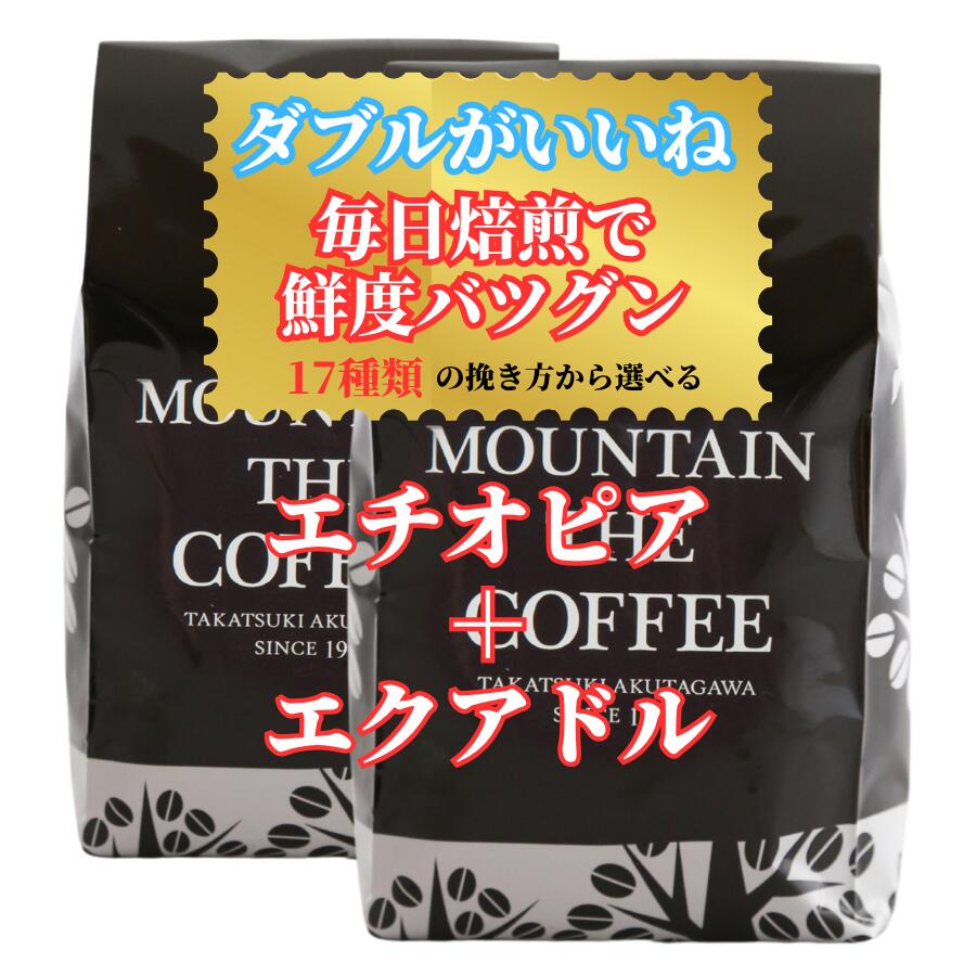 コーヒー豆 自家焙煎コーヒーマウンテン エチオピア・イルガチェフェ150g＋エクアドル（有機豆使用）150g フルーティ+JAS認定有機豆 2種類のシングルコーヒーが楽しめます】【送料無料