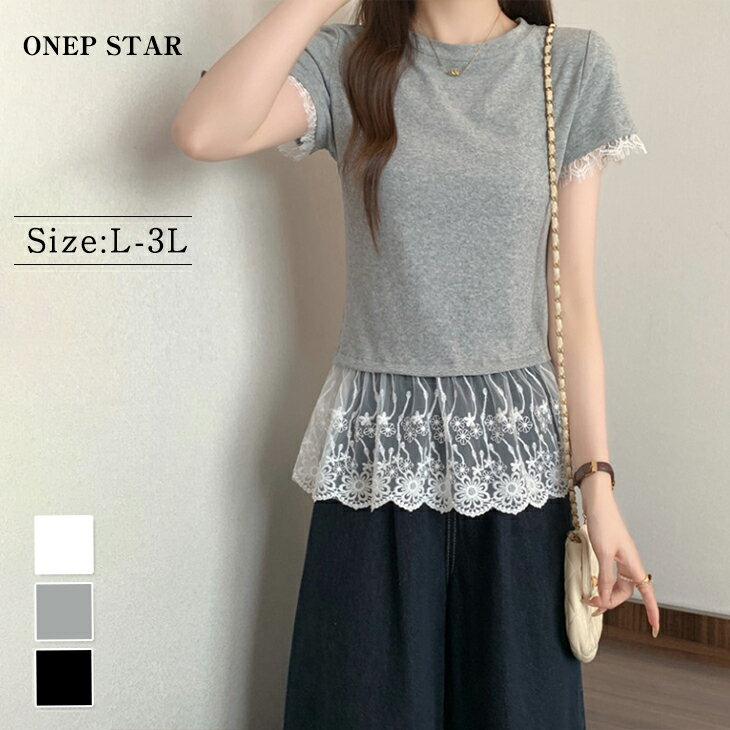 Rakuten - 【6/11 50%OFF！2点購入クーポンで】スカラップレーストップス レディース トップス カットソー Tシャツ 半袖 レースデザイン ゆったり フェミニン 大人カジュアル 春 夏 20代 30代 40代 50代 ワンピスター