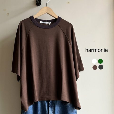harmonie (アルモニ)メンフィス天竺ラグランビッグTシャツ 62580720