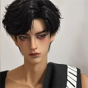 韓国風 大好評1/3 ドール 高品質BJDドール 人気ドール 球体関節人形 男の子 本体 服 ウィッグ BJD 洋服セット ハンドメイド ボディ 洋服 球体 関...