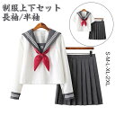 送料無料 学生制服 半袖 長袖 JK制服 レディース 大人 セーラー服 女子高生 制服 JK 学生 高校制服 上下セット スクール 入学式 卒業式 ハロウィン コスプレ ミニ 膝丈 お洒落 無地 舞台衣装 団体服 仮装(4)
