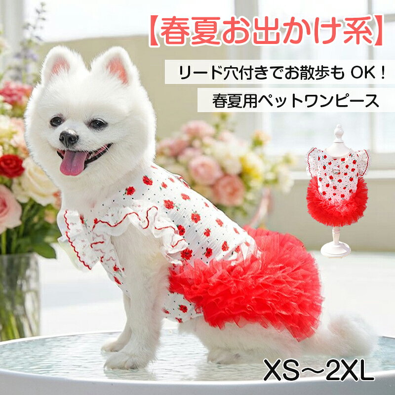 Rakuten - 【SNS映え抜群】 ペット服 ドレス ワンピース 犬服 猫服 花柄 ドット チュール フリル フレンチ ガーリー レトロ かわいい 赤 レッド 春 夏 お出かけ お散歩 記念写真 小型犬 中型犬 抜け毛防止 涼しい ドッグウェア キャットウェア