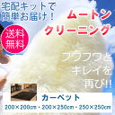 ムートンクリーニング ムートンカーペット 200×200cm/200×250cm/250×250cm 《当店はムートン工場があるので修理・リメイクもご相談頂けま...