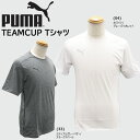 TbJ[ X|[c EFA v[} PUMA TEAMCUP  TVc ړ [֔z