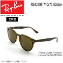 レイバン サングラス RayBan RB4259F 710/73(53サイズ) アジアンフィット 正規品 保証書付き(4)