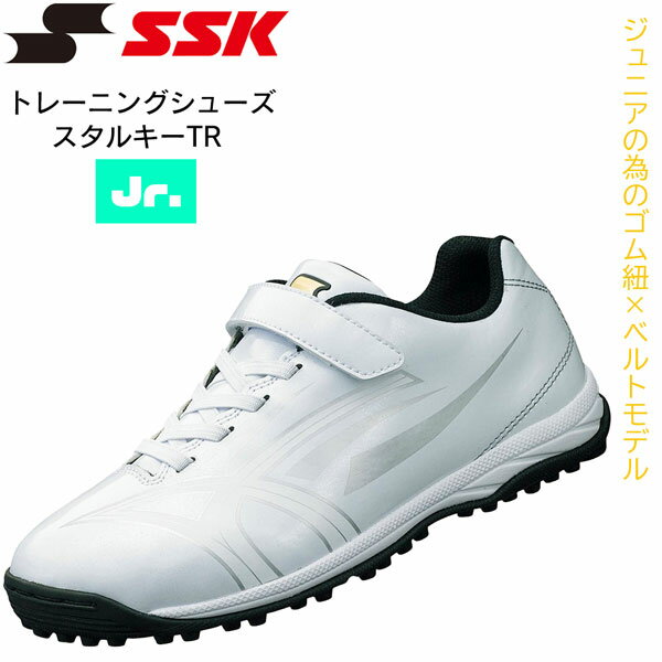   SSK ȥ졼˥󥰥塼 륭TR åץ塼 ȥ쥷塼 塼  ˥ Ҷ ssf5201