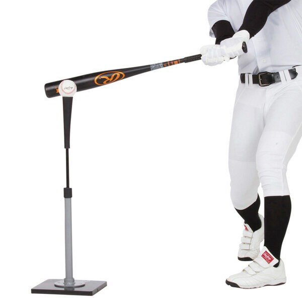 ��� �Хåƥ��󥰥ƥ��� ������󥰥� Rawlings �ץ���ǥ� �Хåƥ���TEE ���֡�PROTEEJP