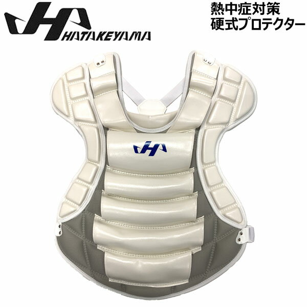 Ǯк  ϥ HATAKEYAMA  ż å㡼  ץƥɶ ۥ磻