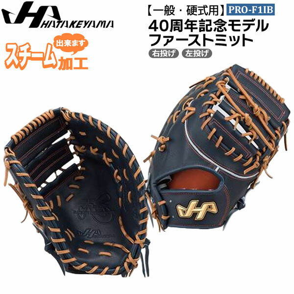 ハタケヤマ HATAKEYAMA グローブ 一般 硬式用 40周年記念モデル ファーストミット PRO-F1IB