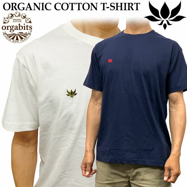 楽天市場】axxe classic アックスクラシックの通販