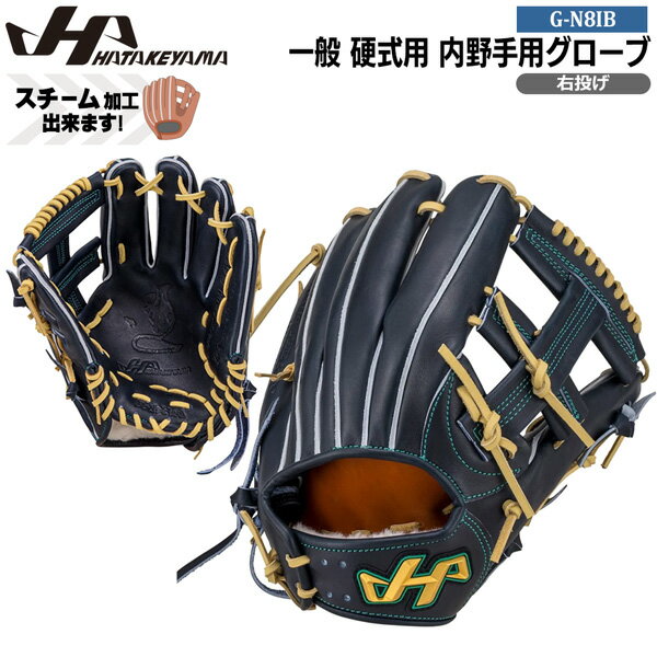 楽天市場】内野手用 硬式グローブ（ブランドハタケヤマ）（スポーツ